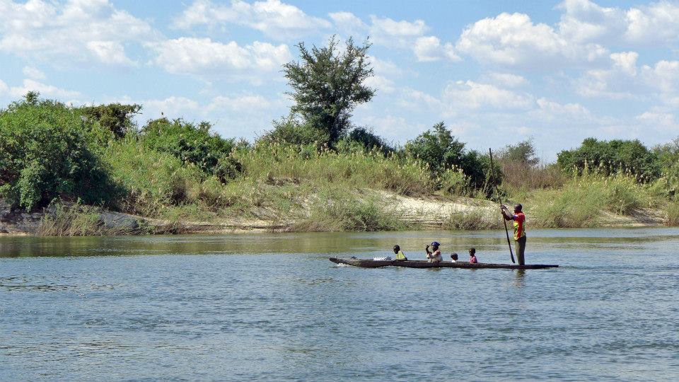 Zambezi river life. 