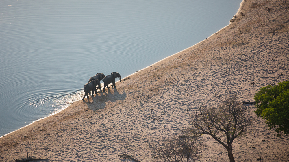17-nambwa-activities-elephants-at-horseshoe