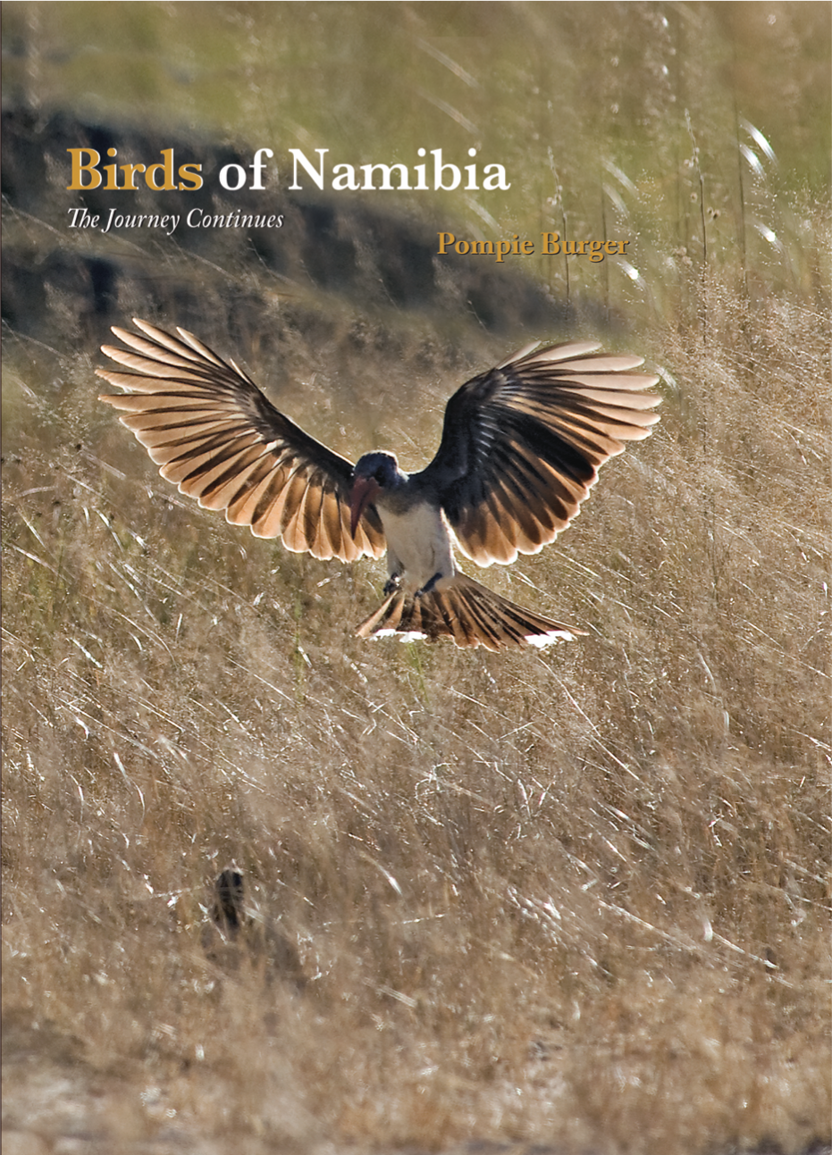 Birds of namibia