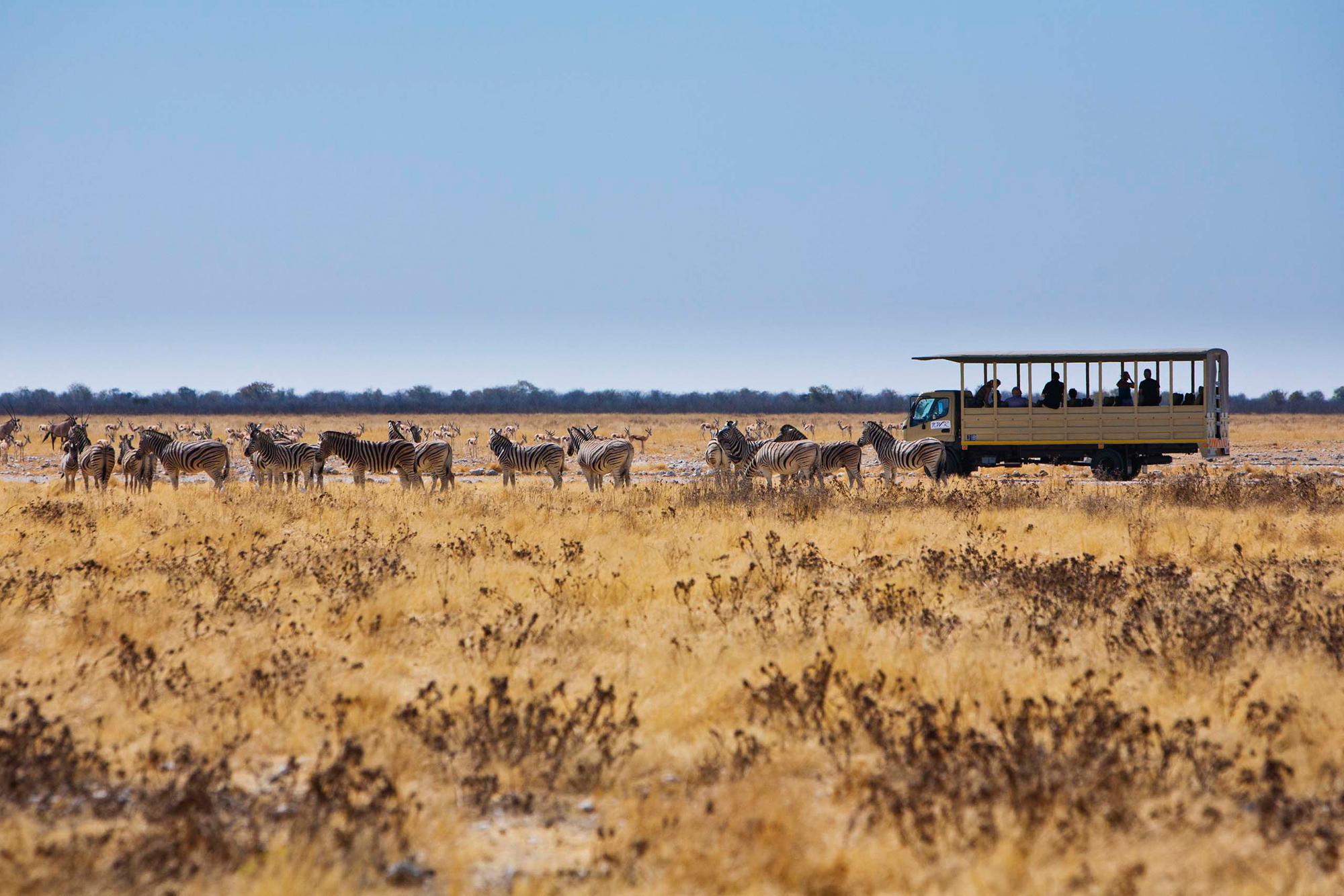 Etosha-Okaukuejo-031-NWR-2011