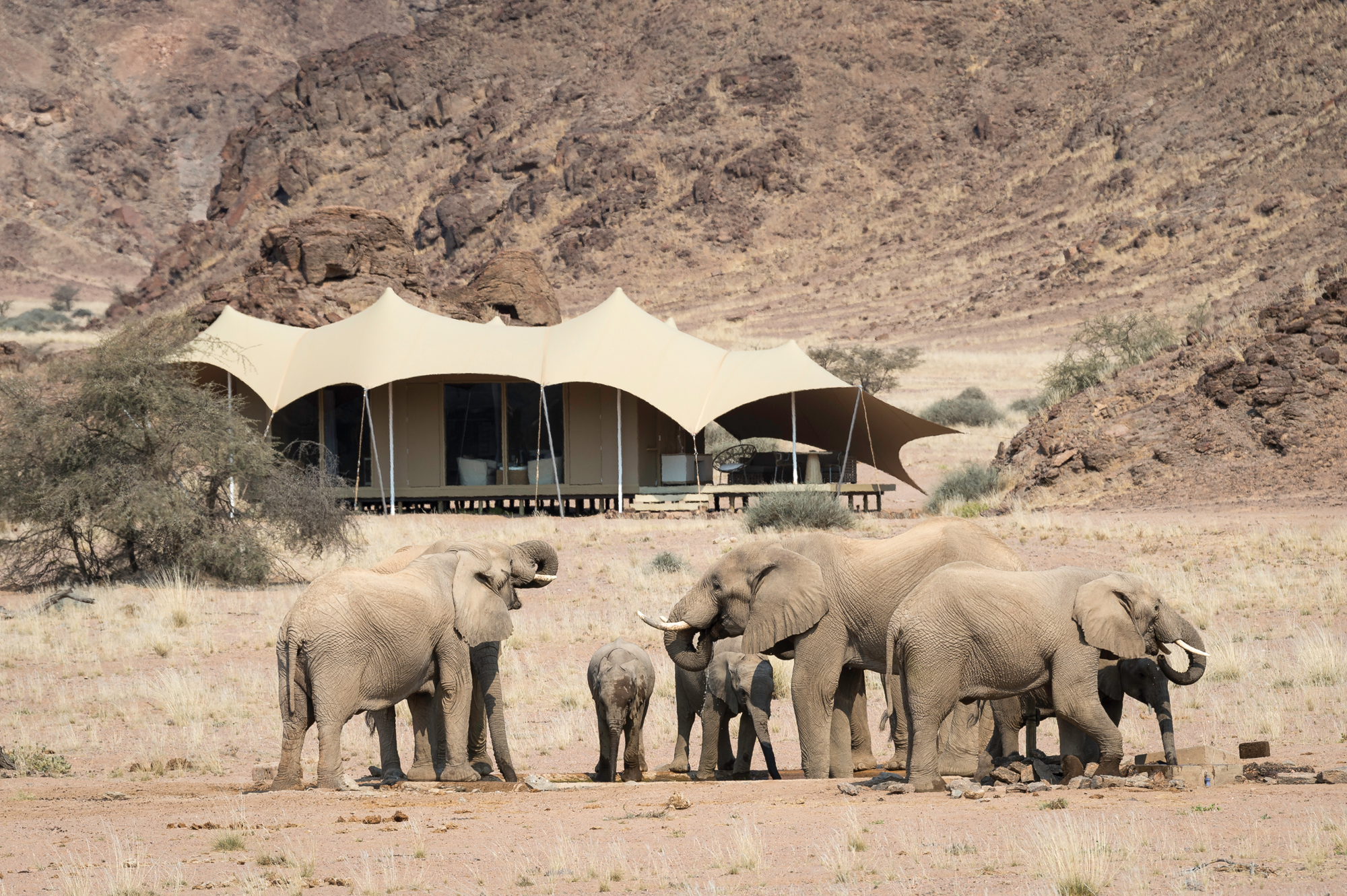 Hoanib_Skeleton_Coast_2014-08-316