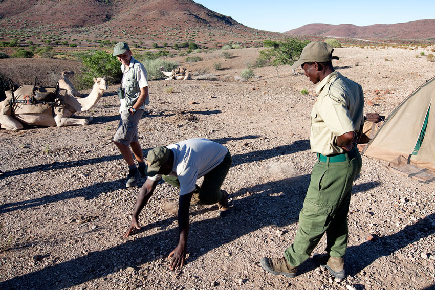 Save the Rhino Trust ©Christie Keulder