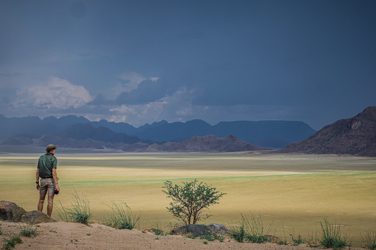 Into the Night - Finding geckos in the desert