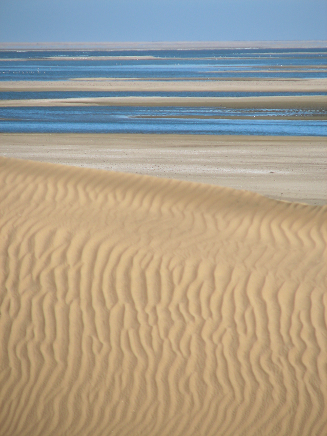 Dunes and water. Photo ©Ron Swilling