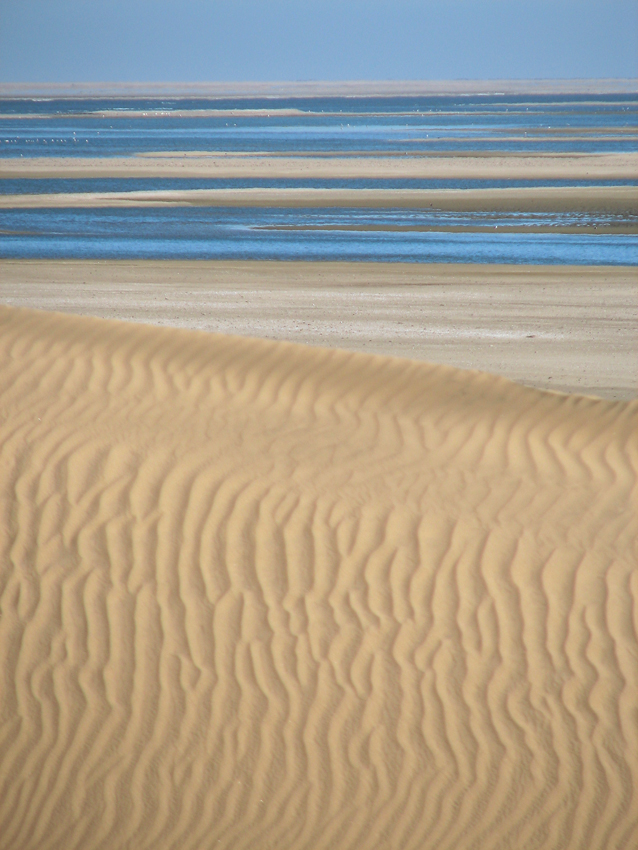 Dunes and water. Photo ©Ron Swilling
