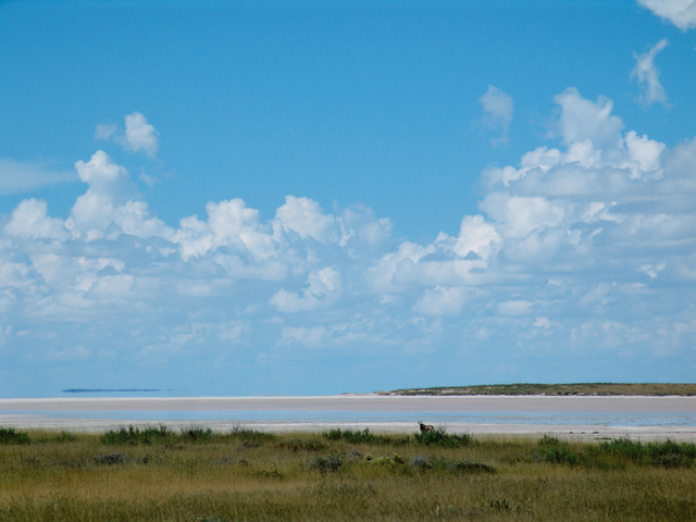 etosha