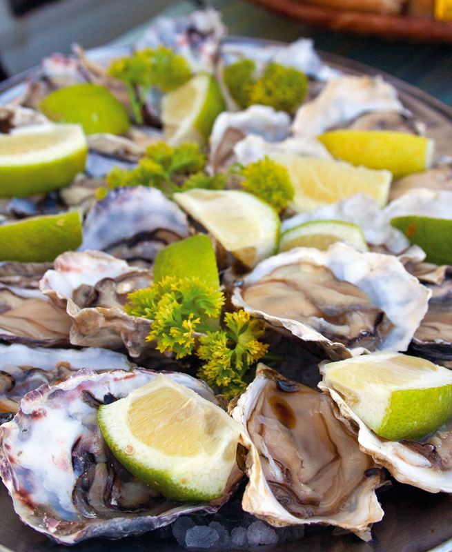 oysters_carmen