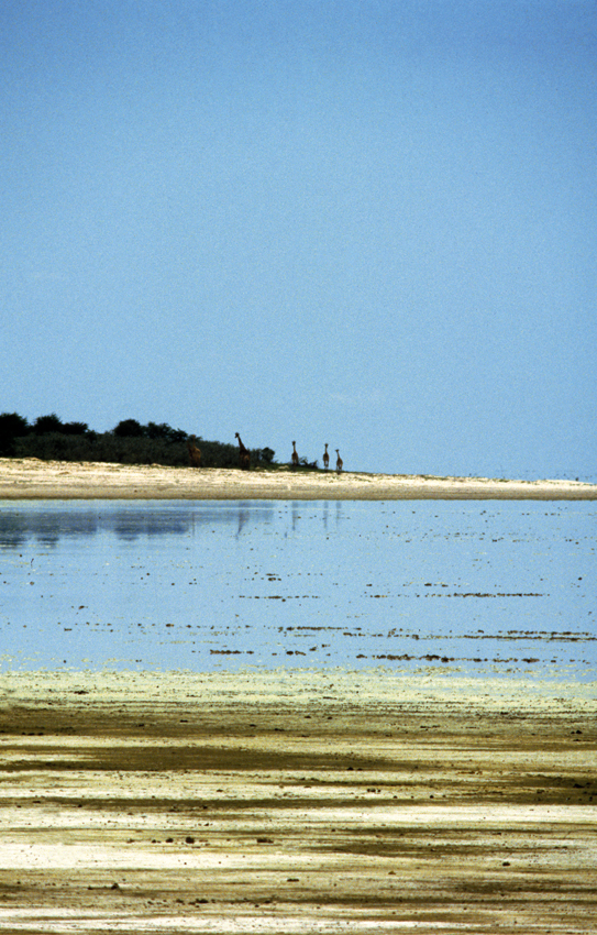 etosha pan with water hu berry 