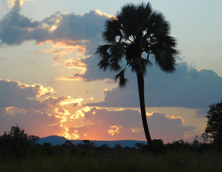 Kaokoland sunset, Elise Haber.