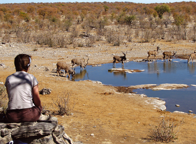 Waterhole at Etosha. 